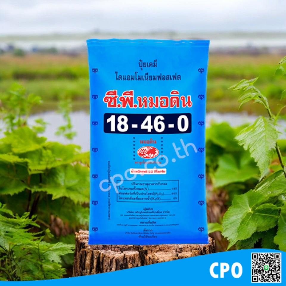 สินค้าใกล้เคียง